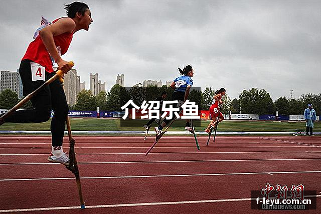 介绍乐鱼